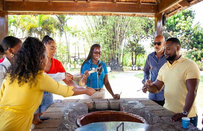 Chukka Appleton Estate & YS Falls - Negril - Foto 1