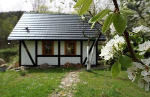 Górski Sad - Bazylia - Foto 10