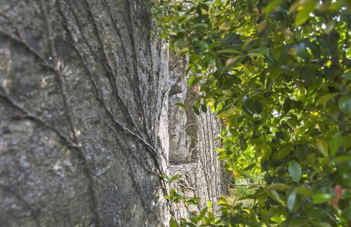 Family Secrets Douro - Foto 44