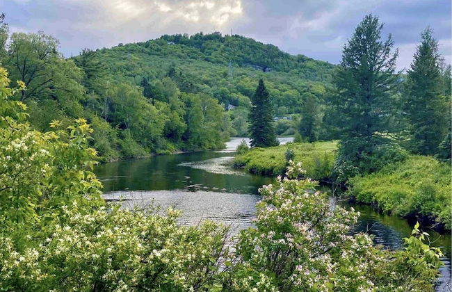 St-Sauveur Lovely Studio - Photo 52