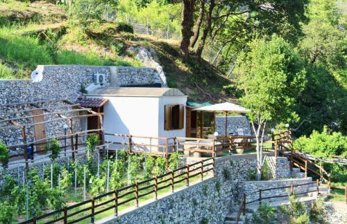 TENUTA BOSCO-Casa Vacanze - Foto 23