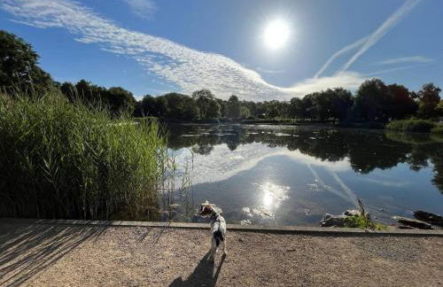 Ferienwohnung am Glockensee - Foto 17