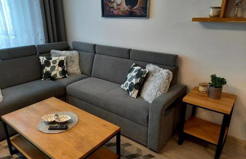 Apartament Green Park - Foto 8