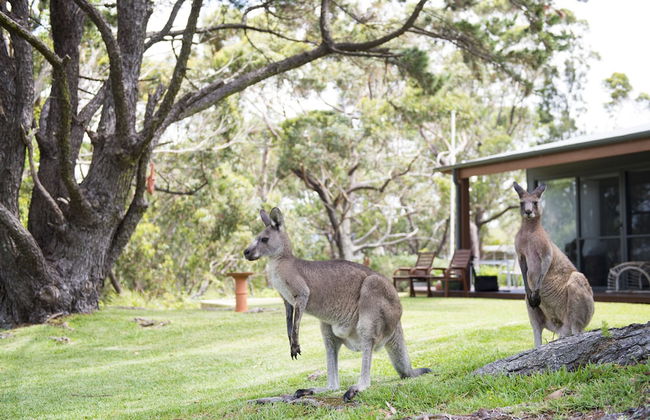 By the Beach B&B and Apartments - Foto 21