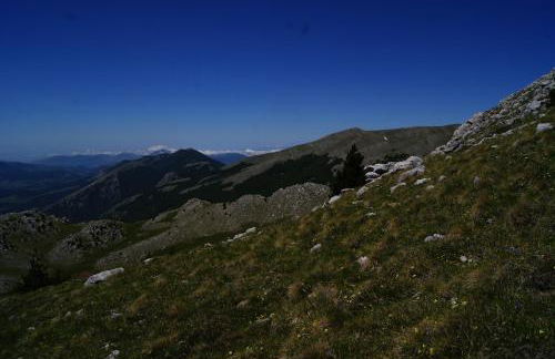 Tana di Zia Nature, Yourself, Love - Foto 25