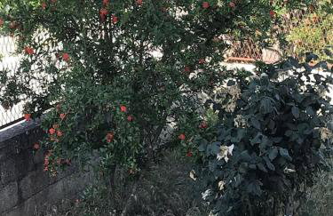 Villa lavanda - Foto 33