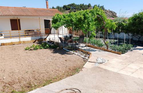 White lilies the house of gourmet flavours - Foto 40