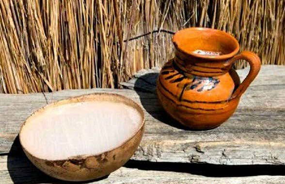 Pulque Tasting - Photo 3