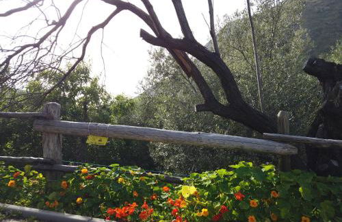 Il Mandorlo - Foto 47