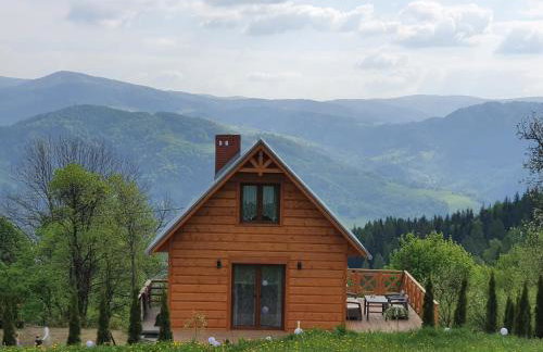 Domek Góralski Piwowarówka - Foto 64