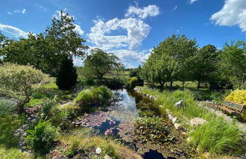 Reethaus Vilmnitz - Ferienwohnung Goor - Foto 54