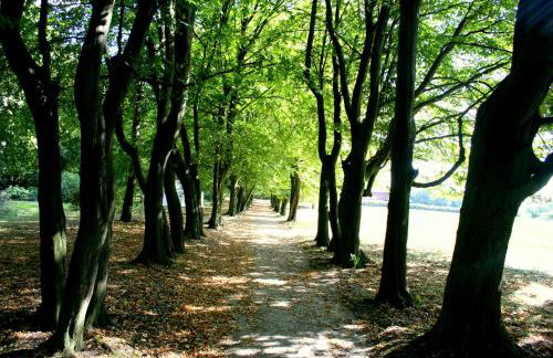 Dwór Podstolice - House of Rosenthal - Foto 9