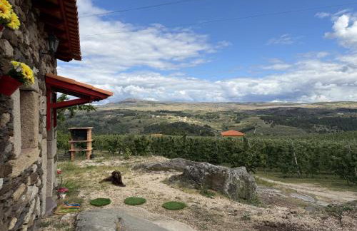 Quinta da Cabrida - Casa do Feitor - Douro - Foto 57
