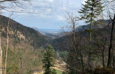 REIT IM WINKL - ValleyViewInn - Foto 6