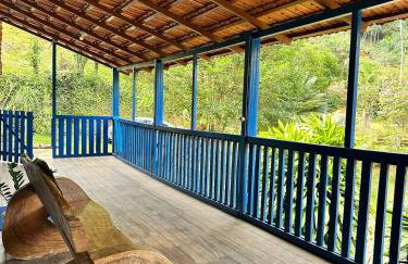 Sítio incrível 4Q c/ piscina e área de churrasco - Foto 47