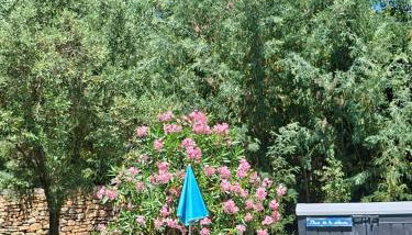 Chalet Le Petit olivier , gite l Echapée Belle Aubenas - Foto 4