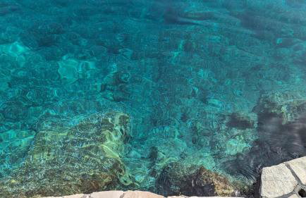 Paradies Apartments Prizba - Foto 30