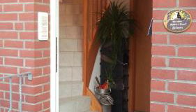 Fewo Zur Ilmenau - Foto 5