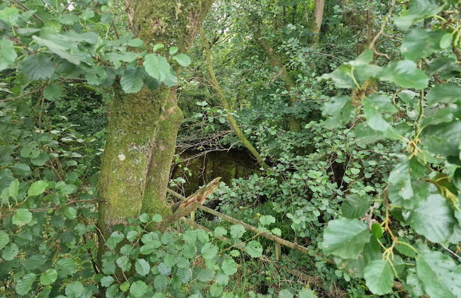 Large Glamping Hut - Riverview 13 - Photo 8