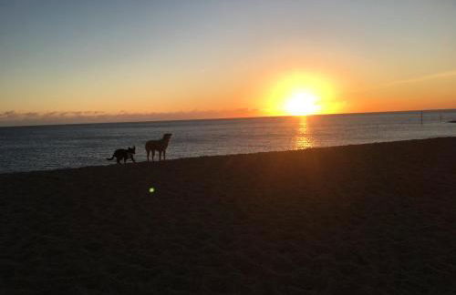 Relaxing townhouse in the heart of Bridport - Foto 8