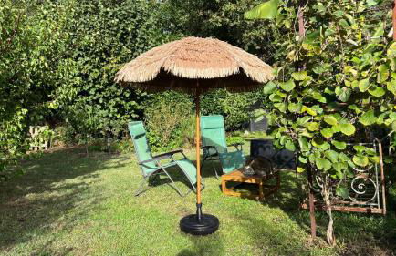 Le Petit Bois d'Amour - Foto 12