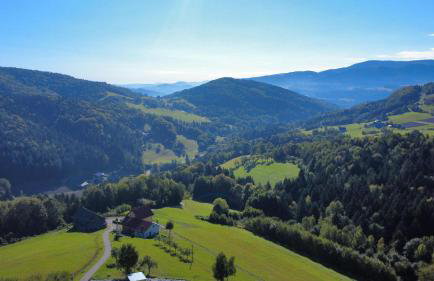 Agroturystyka Faron - Foto 33