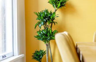 Short North Convention King Bed Free Parking! - Foto 27