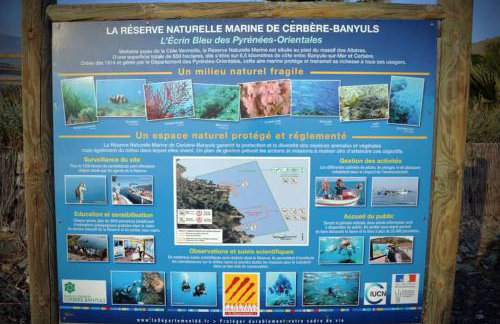 Vue mer, crique de Peyrefite, Cerbère-Banyuls. - Foto 69