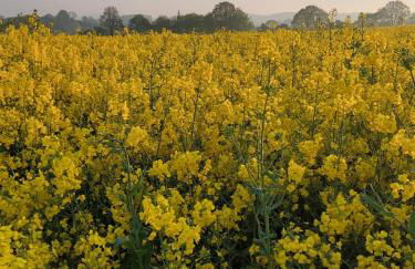 Ferienwohnung - Foto 38