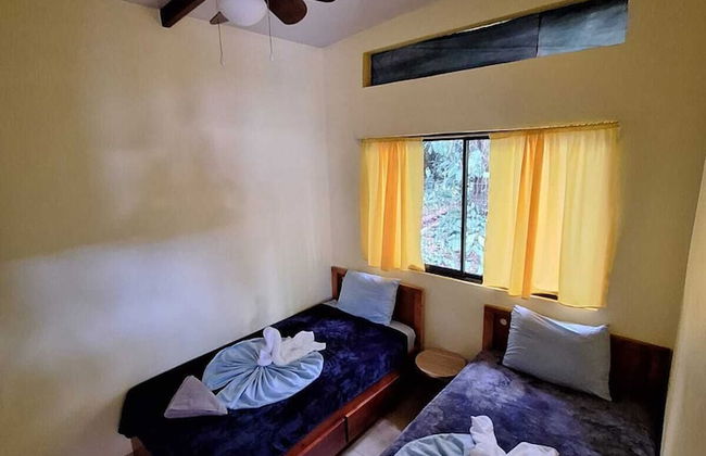 Caribbean Blue Morpho - Foto 8