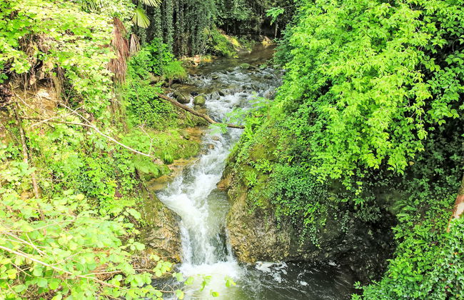 La Furnaseta - Photo 27