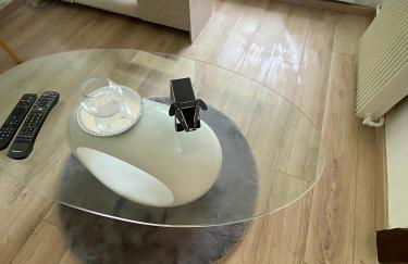 Vue du Doubs T4 cosy très bien situé - Foto 27