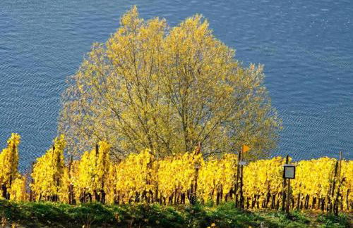 Apartment Perle-Lollipop by Interhome - Foto 35