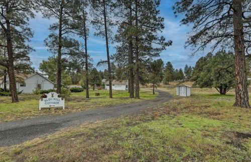 Ski, Hike and Explore Flagstaff Cottage! - Photo 27