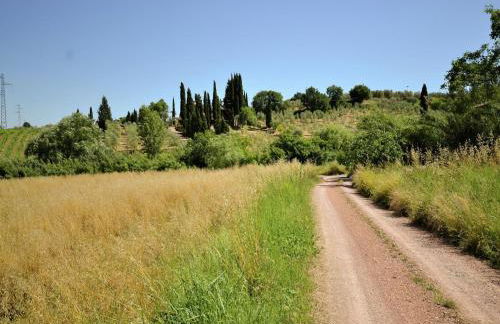 Holiday Home in Montecastelli with River Views - Foto 70