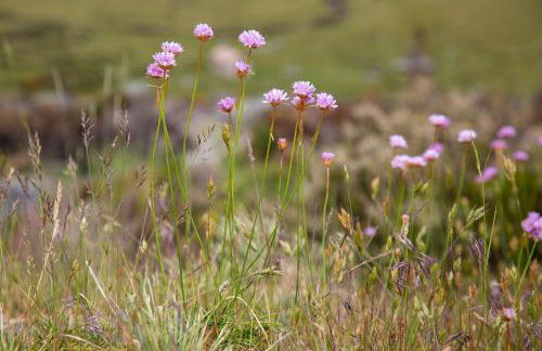 SerraVale - House & Nature - Foto 55