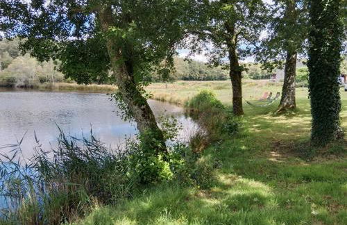 La petite lisonne - Foto 31