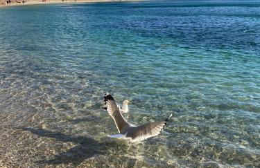 Mas Misajail - Foto 51