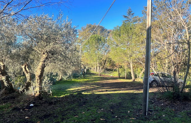 Poggio Roseto - Foto 47