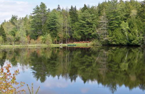 Robinson's Cottages - Foto 23