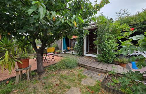 Studio bois avec terrasse et jardin bassin et océan - Foto 15