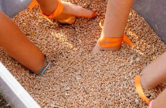 Cascina Bagaggera - Foto 35