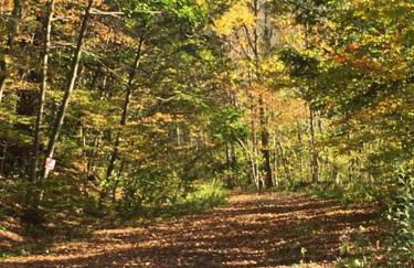 Catskill Cabin, Cool Apartment, 2nd Floor - Photo 32