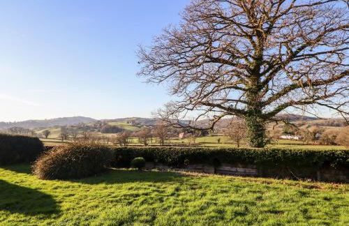 Berwyn View - Photo 32