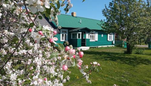 Zielony Domek Plutycze - Foto 4, Garden