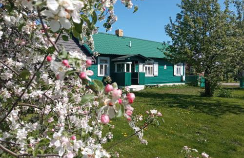 Zielony Domek Plutycze - Foto 4