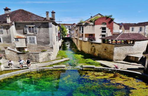 Le Jardin des Bois - 5 min de la Fosse Dionne - Foto 9