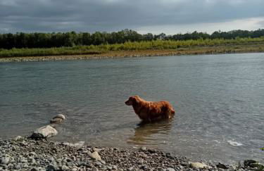 Mobile Home 36m2 - Foto 13