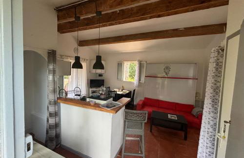 Studio terrasse - Foto 12