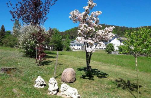 Holiday Apartment Schupp - Foto 55